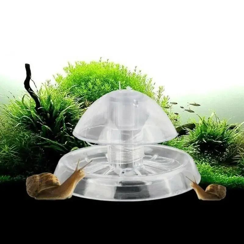 Fish Aquarium Home - 2026 Perangkap Siput Plastik Transparan 6/8CM