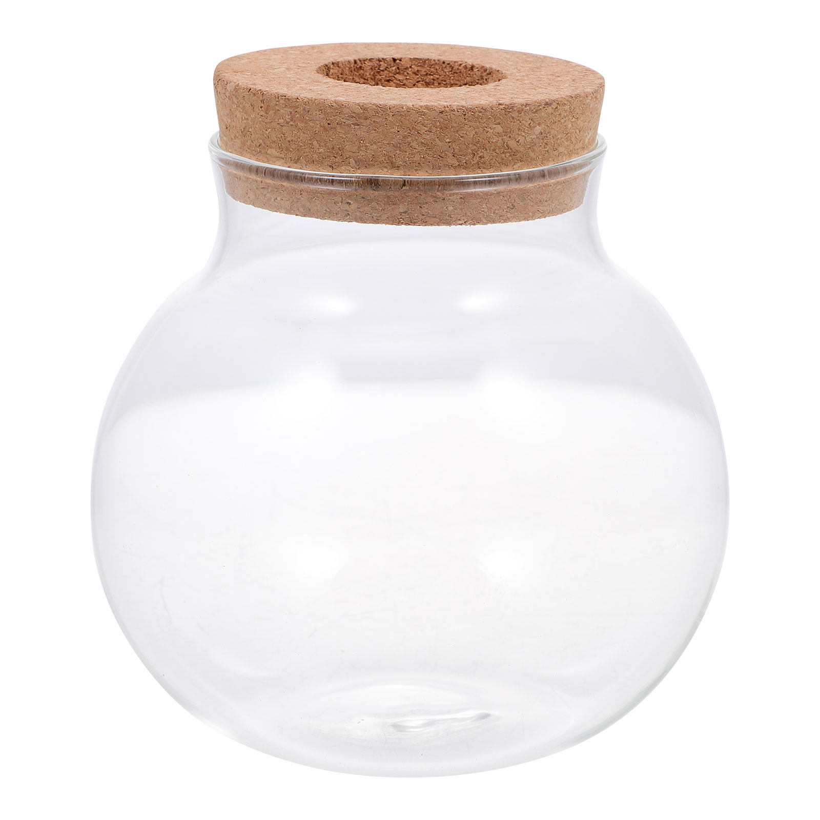 Aquarium Fish Keeping - Terarium Mini untuk Lanskap Kecil, Botol