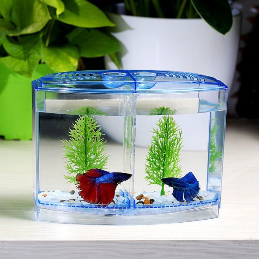 Betta Fish Tank - Tangki ikan cupang transparan, akuarium Guppy
