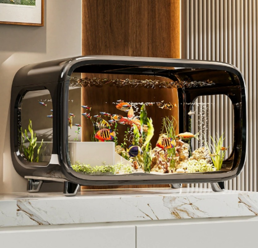 Fish Aquarium Home - Akuarium Ikan Ekologis Transparan yang Kreatif
