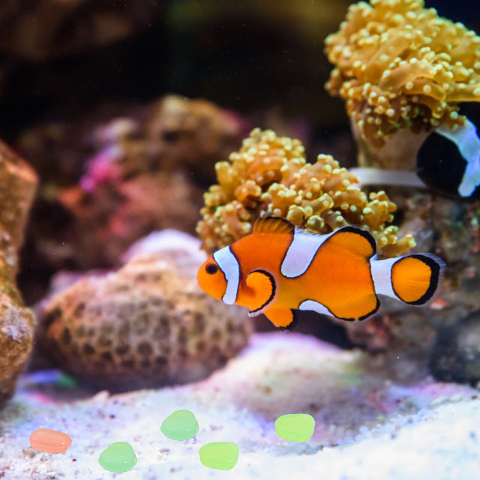 400 Buah Kerikil yang Menyala  - Fish Tank Gravel ulasan dan harga