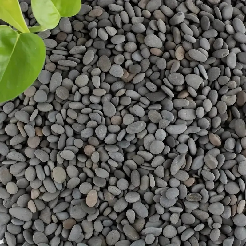 20 Buah Batu Sungai Alami Batu - Fish Tank Gravel ulasan dan harga