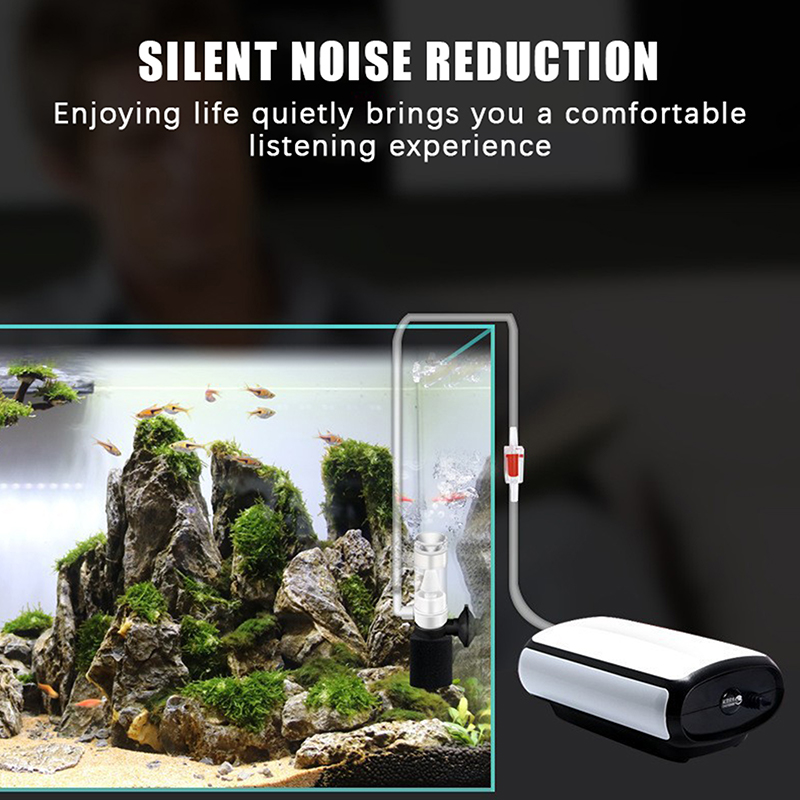 ♬ Filter Spons Akuarium Berten - Betta Fish Tank ulasan dan harga