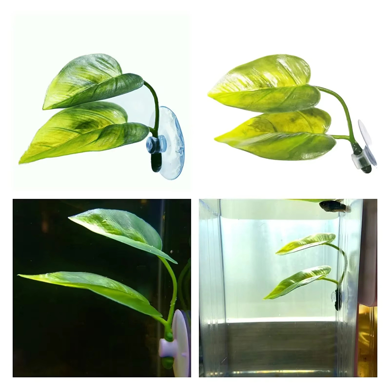 Perlengkapan Hiasan Akuarium,  - Betta Fish Tank ulasan dan harga
