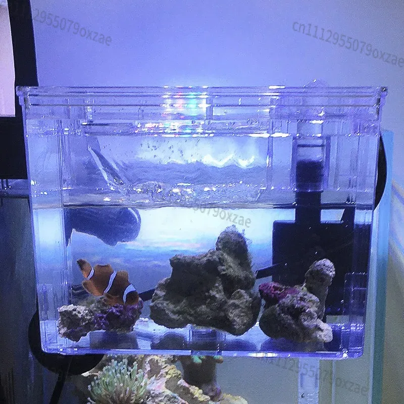 Kotak Pemisah untuk Pembiakan  - Aquarium Pump ulasan dan harga