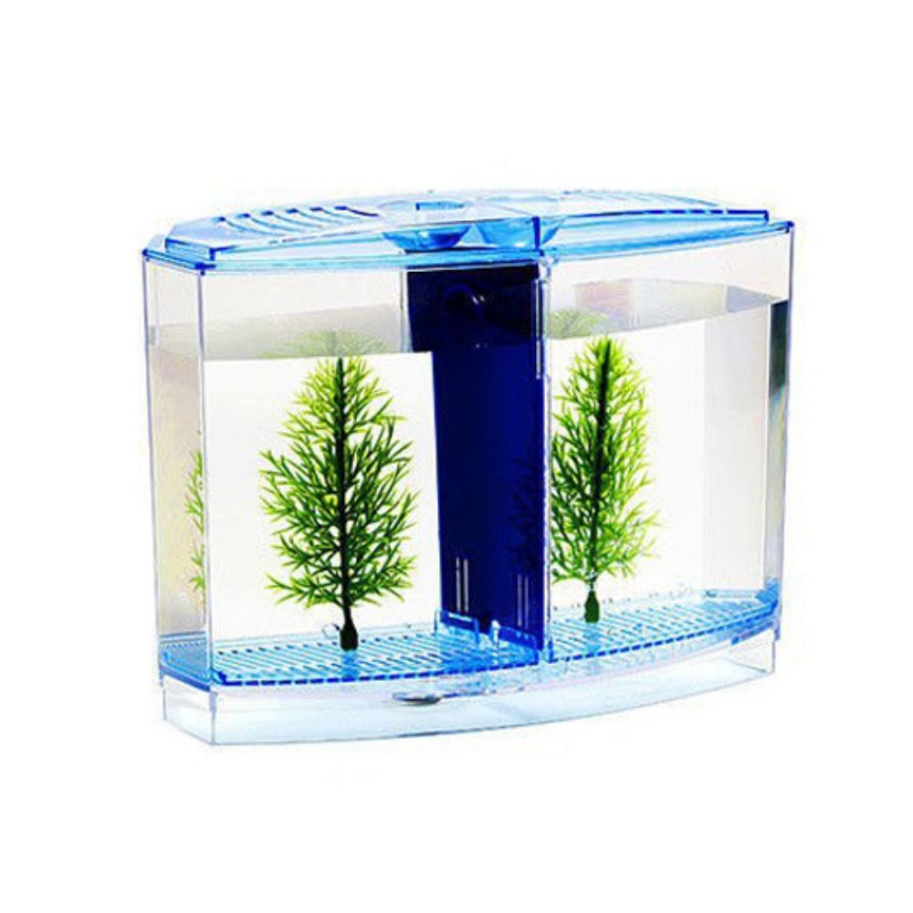 Tangki ikan cupang transparan, - Betta Fish Tank ulasan dan harga
