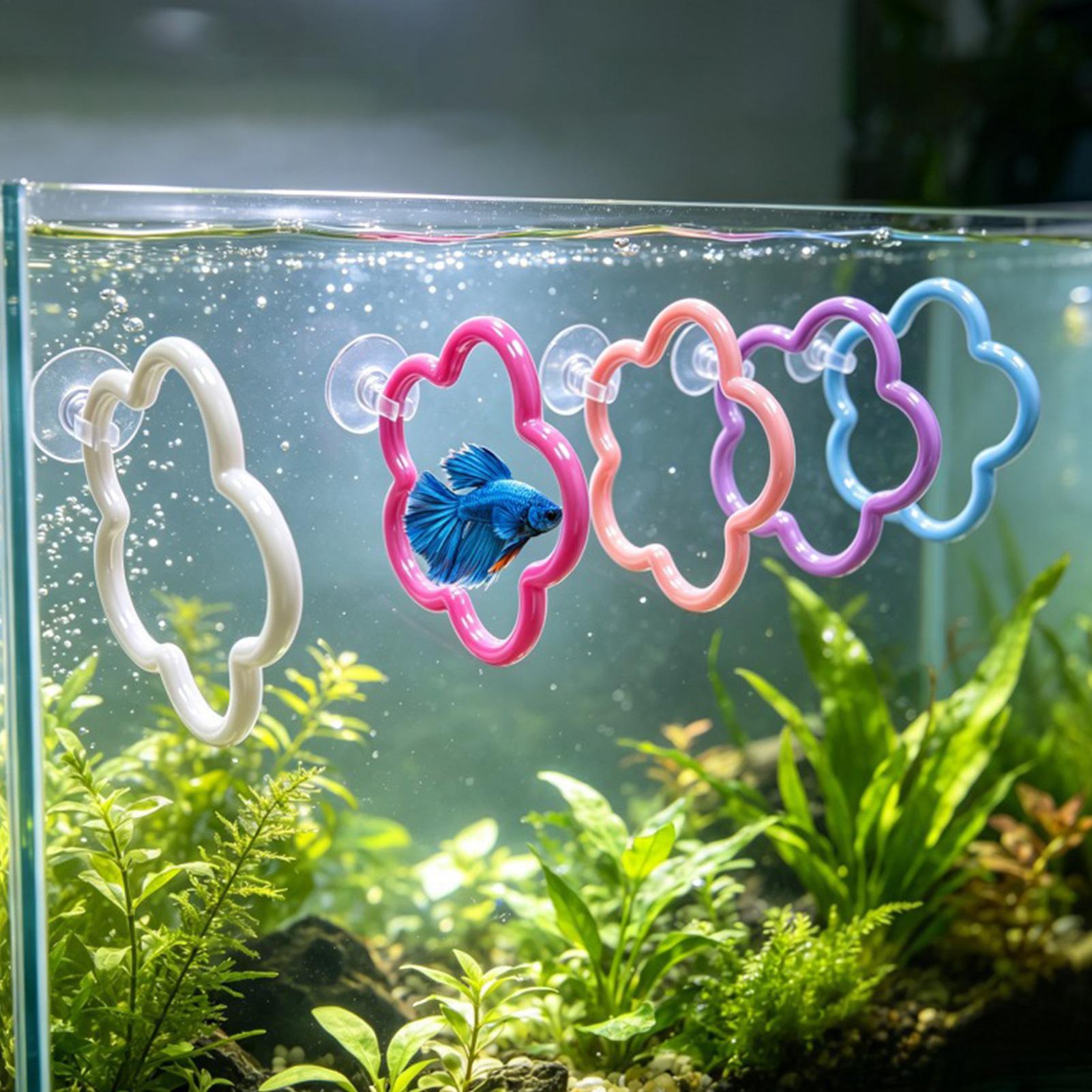 Mainan Ikan Cupang 5 Buah Akse - Aquarium Fish Betta ulasan dan harga
