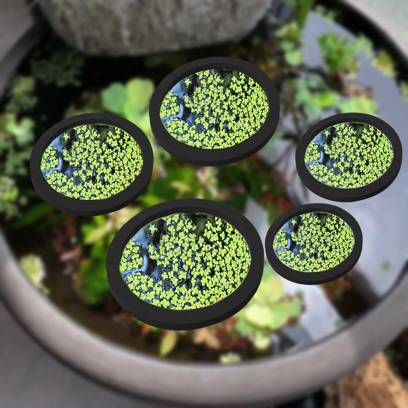 5 buah EVA cincin pemberi maka - Aquarium Fish Tank ulasan dan harga