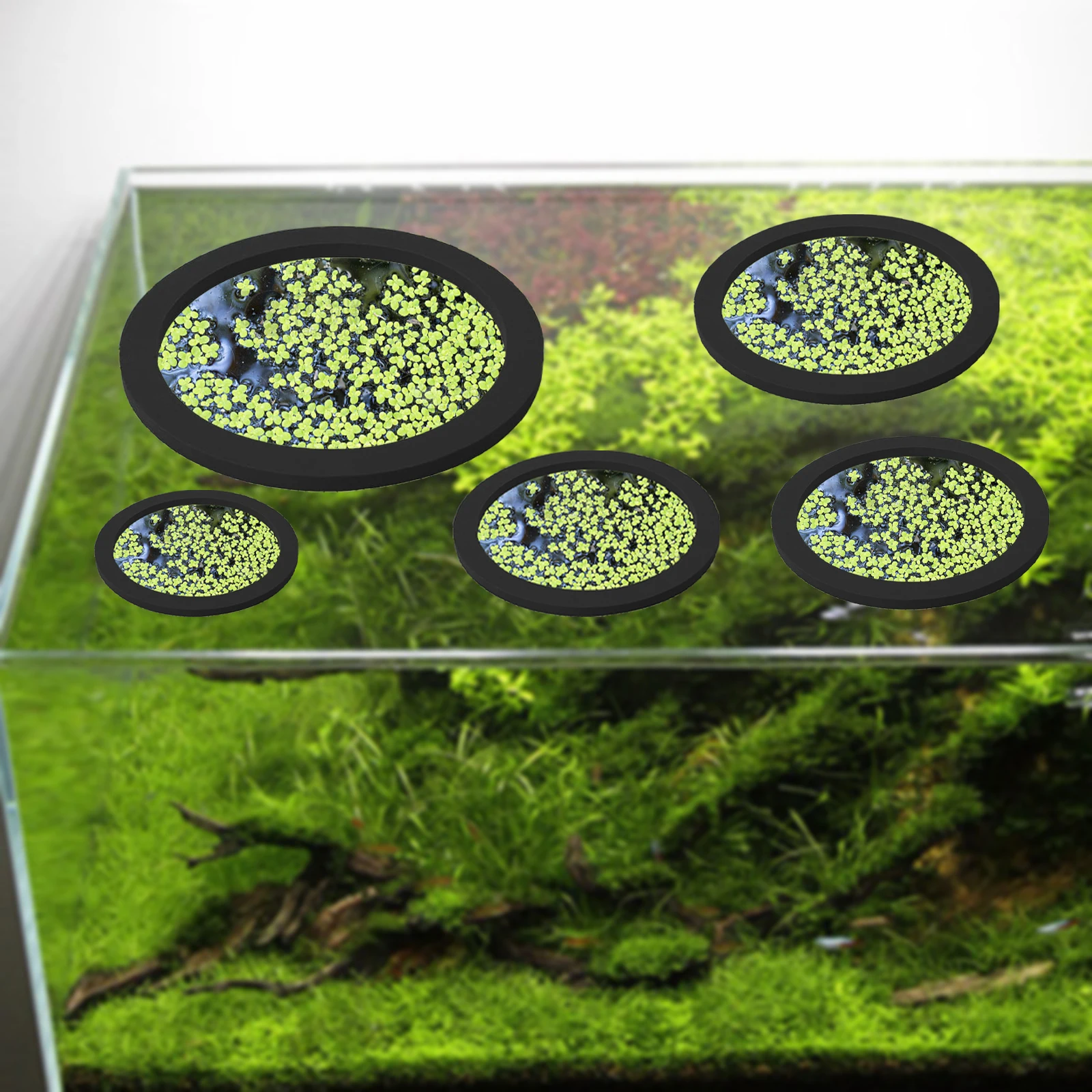 5 buah EVA cincin pemberi maka - Aquarium Fish Tank ulasan dan harga
