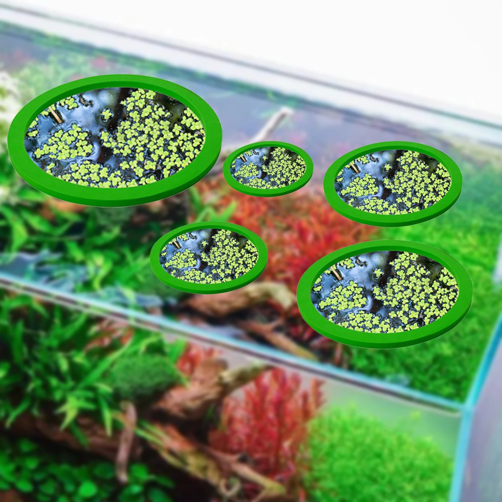 5 buah EVA cincin pemberi maka - Aquarium Fish Tank ulasan dan harga
