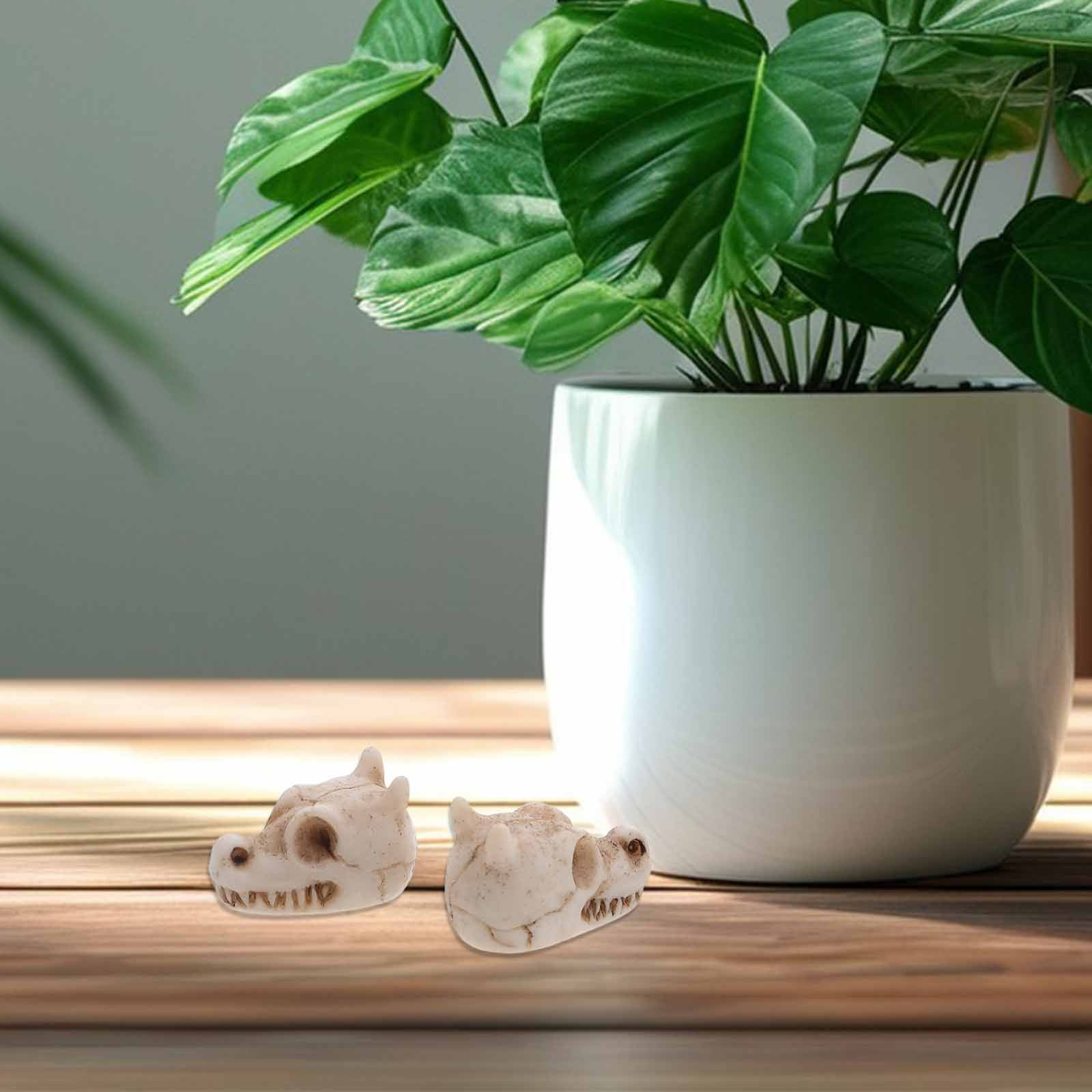 20 Buah Hiasan Tengkorak Naga  - Aquarium Decor ulasan dan harga