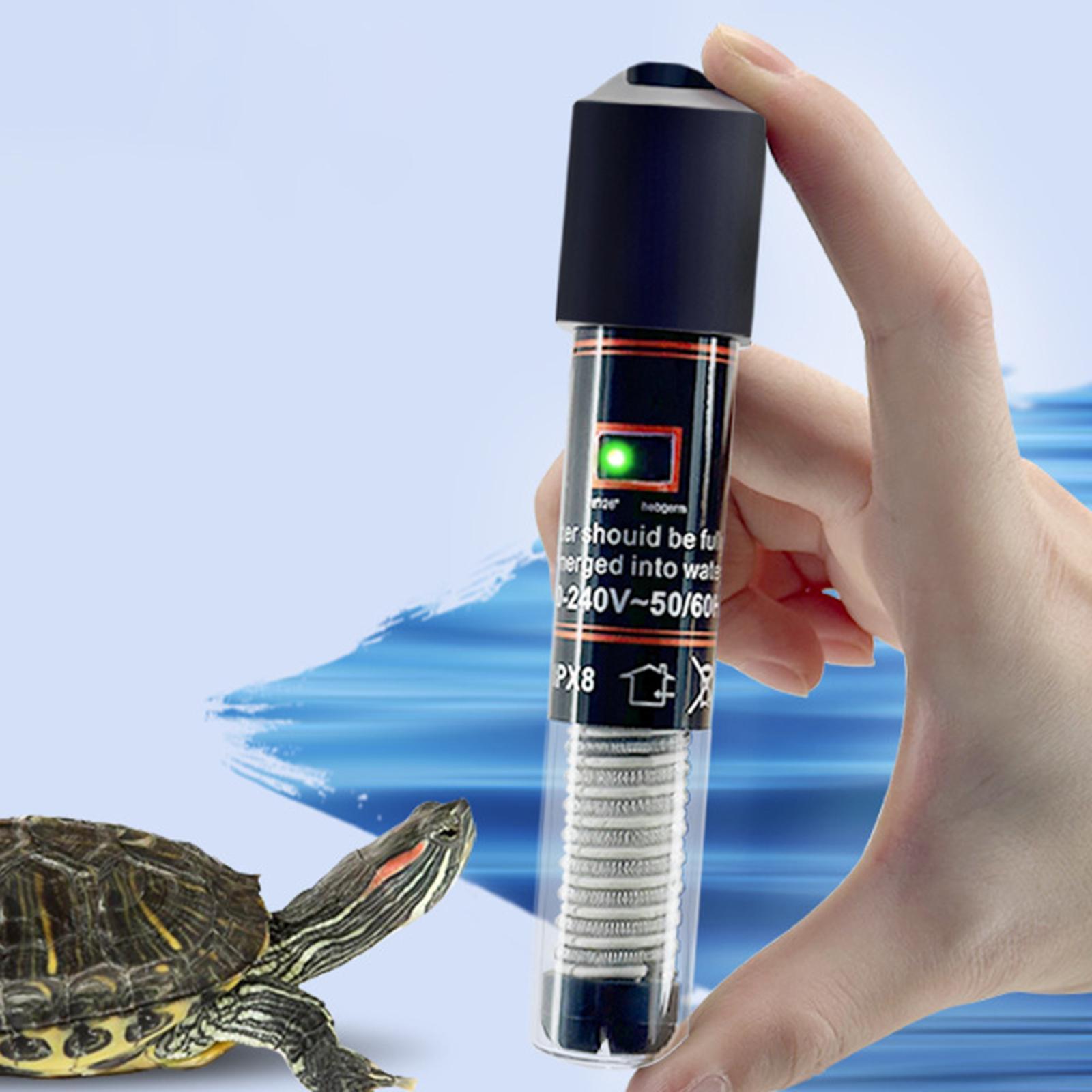 Pemanas Akuarium Musim Dingin, - Aquarium Fish Keeping ulasan dan harga