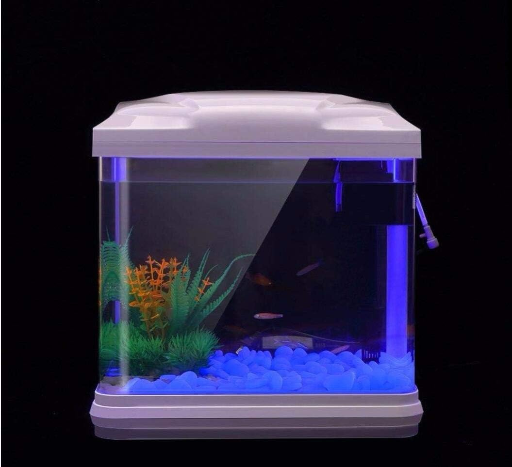 Batu Tangki Ikan Kerikil Biru  - Fish Aquarium Home ulasan dan harga