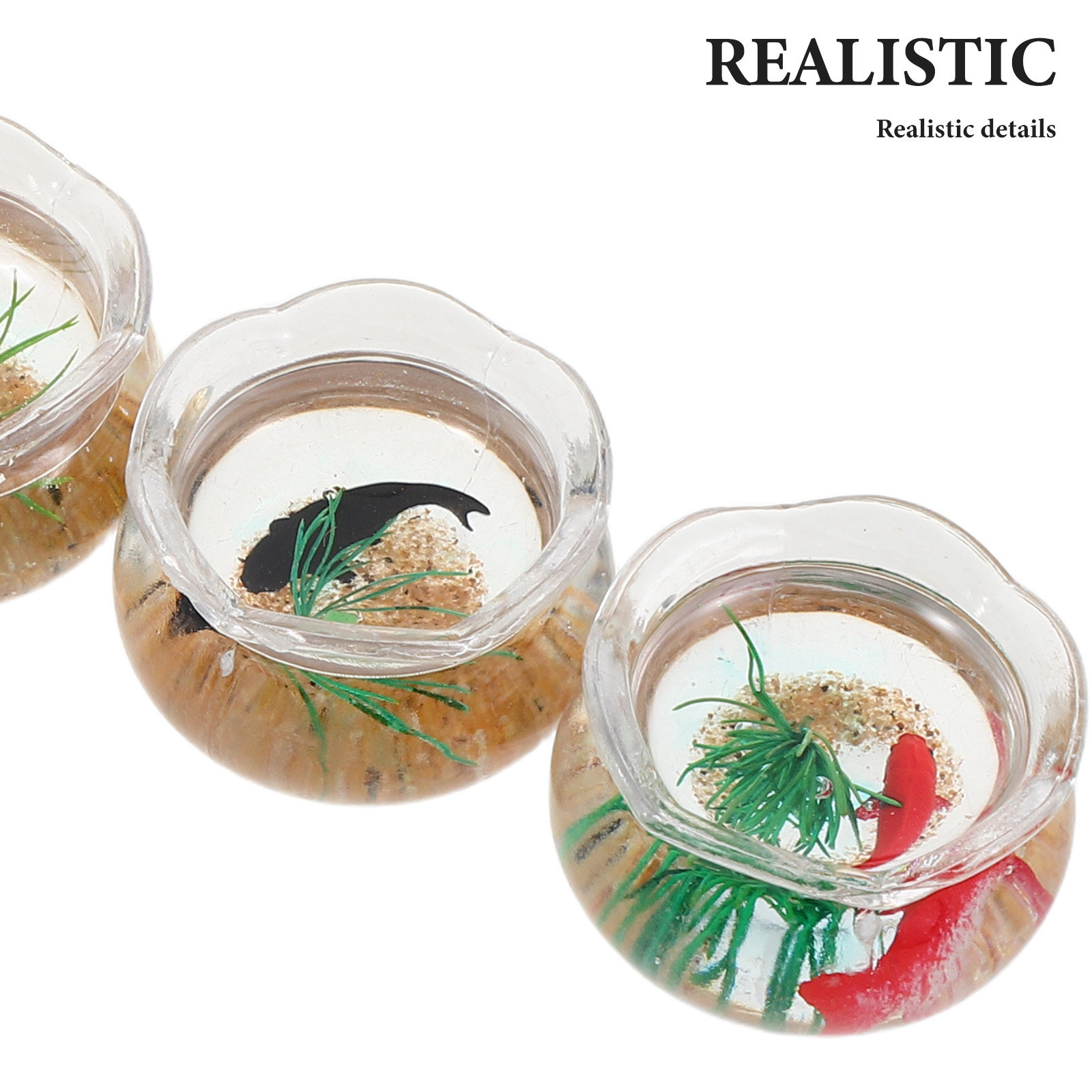 5 Buah Akuarium Ikan Mini, Tam - Aquarium Plants ulasan dan harga