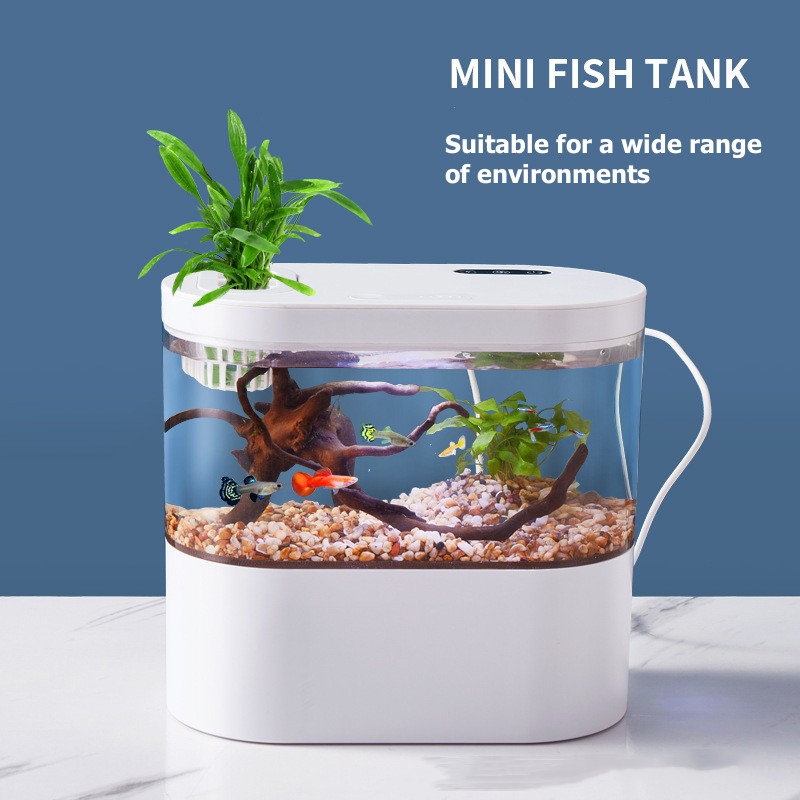 Akuarium Mini Desktop Kreatif  - Betta Fish Tank ulasan dan harga