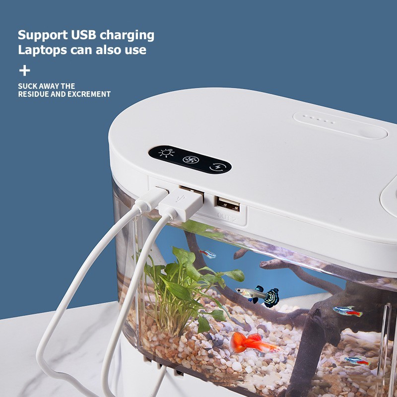 Akuarium Mini Desktop Kreatif  - Betta Fish Tank ulasan dan harga