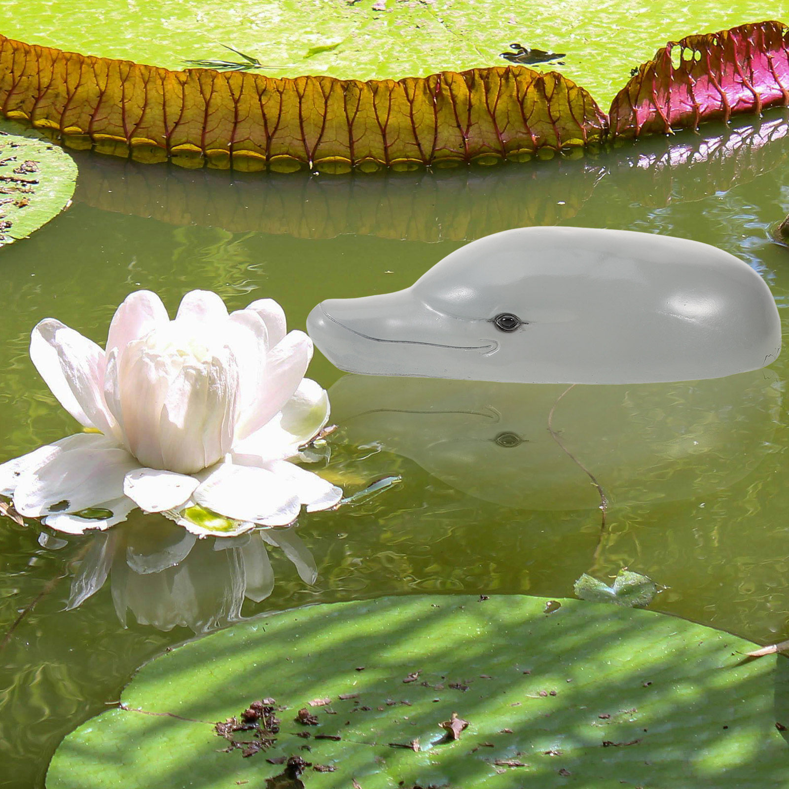 Ornamen Kepala Lumba-lumba dar - Aquarium Decor ulasan dan harga