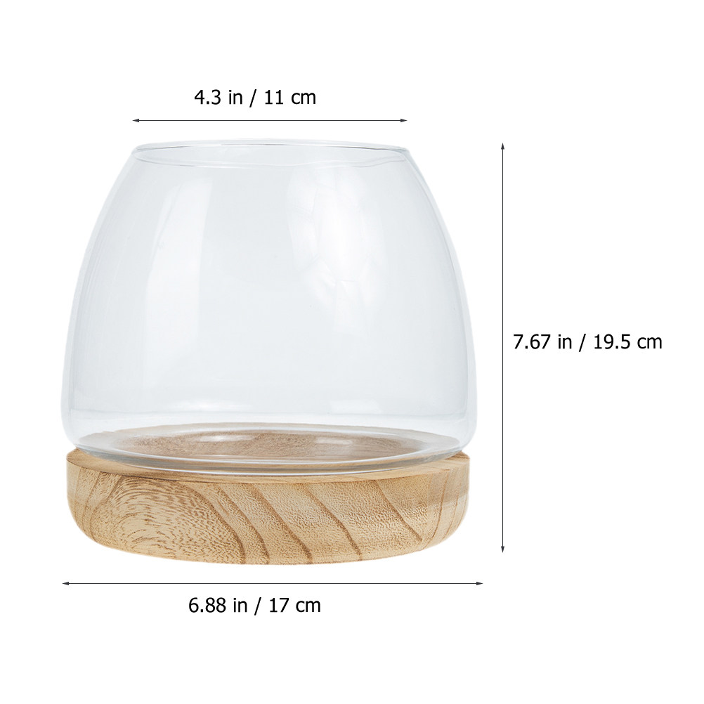 1 Set Terrarium Tanaman Hidrop - Aquarium Plants ulasan dan harga