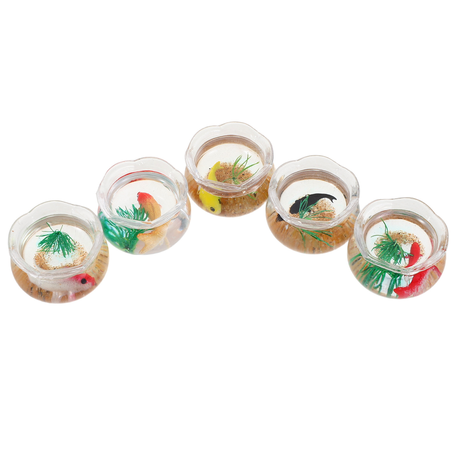 5 Buah Akuarium Mini Berbentuk - Aquarium Plants ulasan dan harga