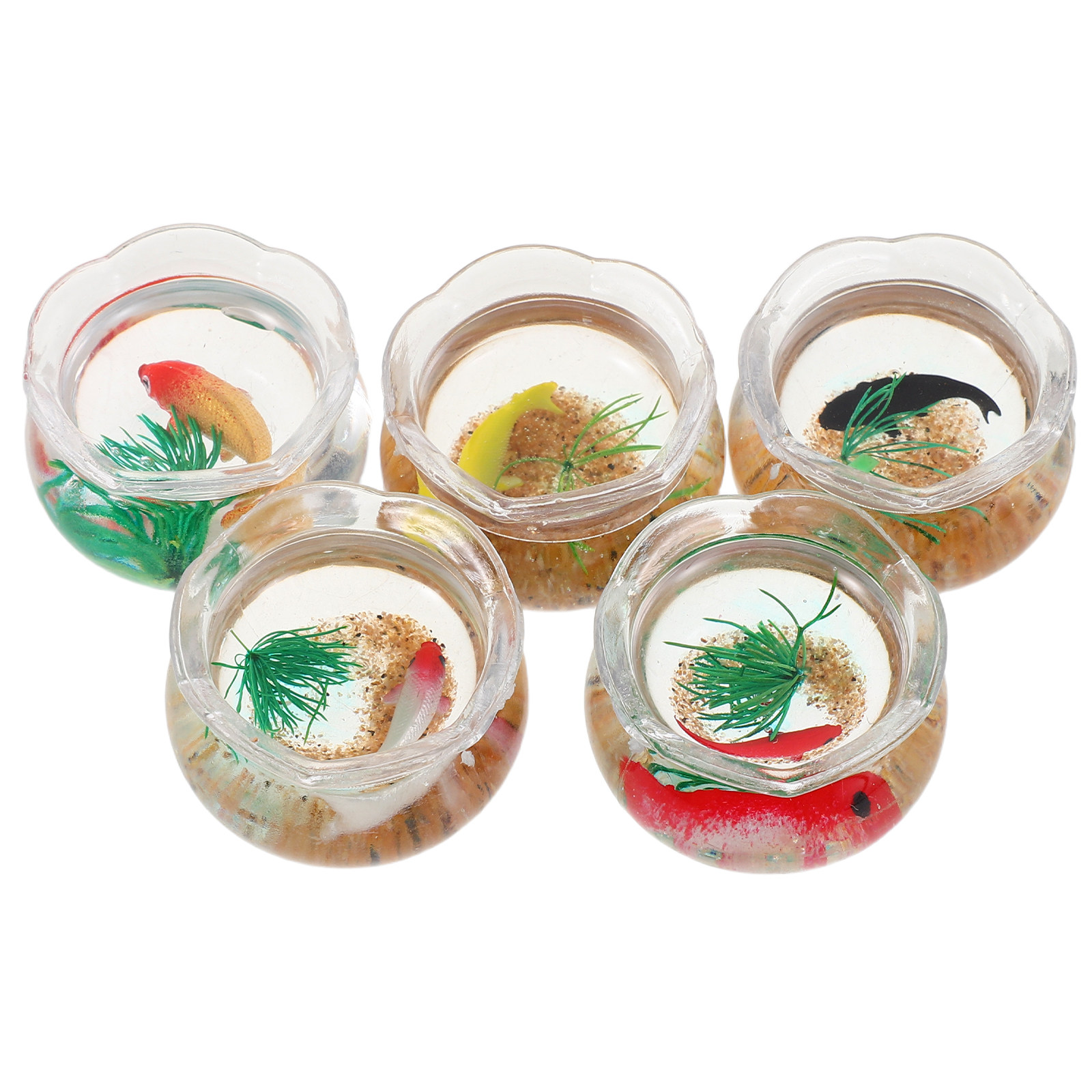 5 Buah Akuarium Mini Berbentuk - Aquarium Plants ulasan dan harga